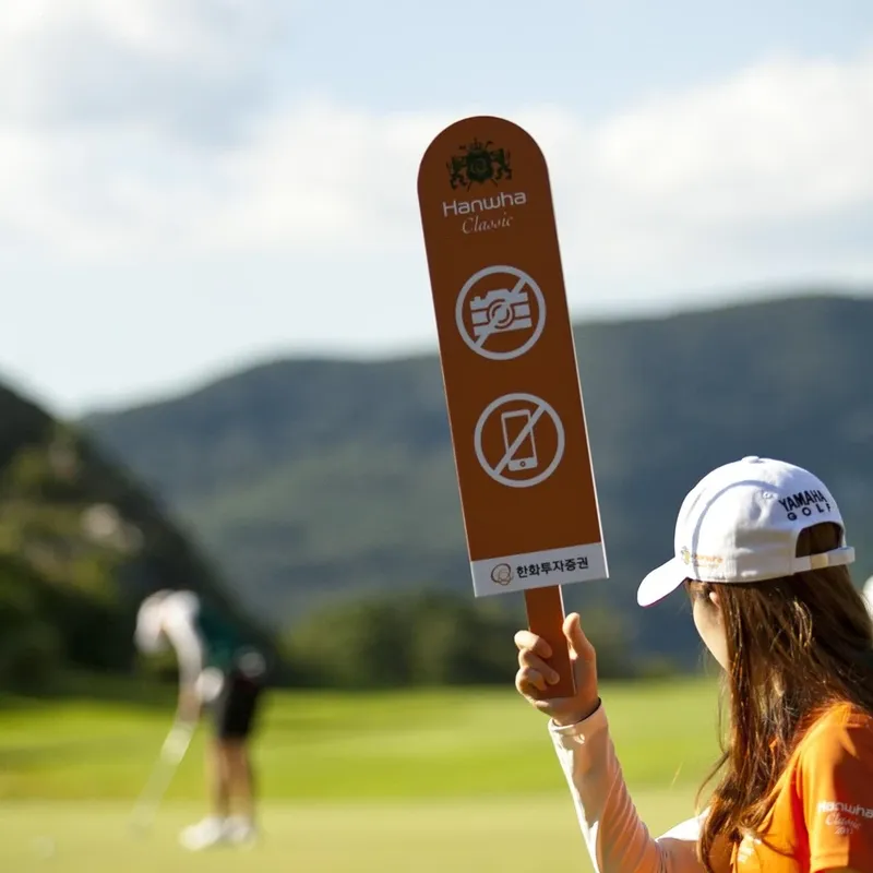 Chipping green