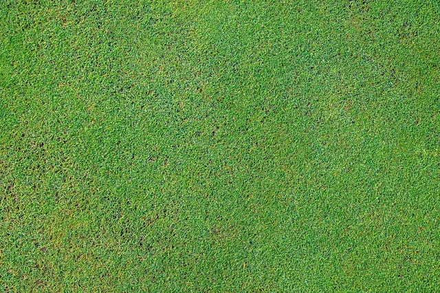 Golf Myštěves