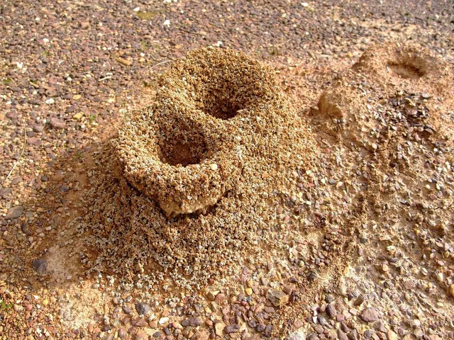 Jamka č.6